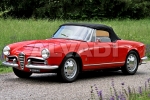 Alfa Romeo GIULIA Kølevandsslanger