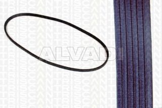 Contitech AVX10X910/ V-Belt