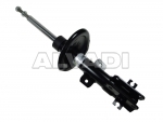 Shock absorber with mounting of spring