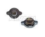 Radiator cap