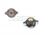 Radiator cap